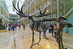 Scottish National Museum interior with tourists