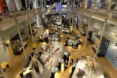 One of the galleries at the National Museum of Scotland, Edinburgh