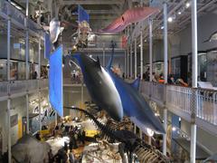 Animal World exhibit at the National Museum of Scotland