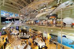 Scottish National Museum interior