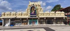 Sri Bhadrakali Temple in Warangal