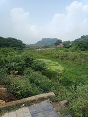 Bhadrakali Cheruvu Warangal scenic view