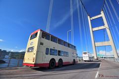 Ex-KMB Dennis Dragon buses at Tsing Ma Bridge