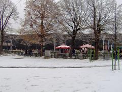 winter market in Osijek, Croatia