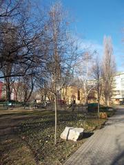 Osijek Memorial tree and stone in Béke Square Park, Angyalföld, Budapest