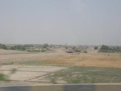 Agricultural wheat fields in Hyderabad, Sindh