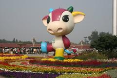 Tiananmen Square during 2008 Beijing Olympics display