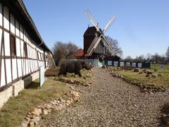 Mammoth Garden at the Museum Schloss Salder