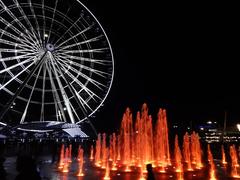 Night view of Estrella de Puebla with fountain