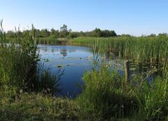 landscape in De Alde Feanen National Park