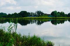 De Alde Feanen nature reserve south of Earnewâld