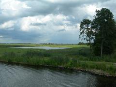 De Alde Feanen National Park landscape