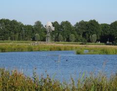 landscape in De Alde Feanen National Park, Netherlands