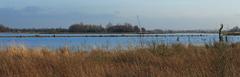 Panoramic view of De Alde Feanen National Park in the Netherlands