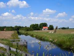 landscape of De Alde Feanen National Park in the Netherlands