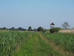 Scenic landscape in De Alde Feanen National Park, Netherlands