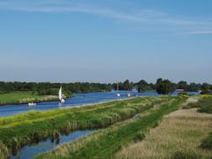 Lake in De Alde Feanen National Park with green grassy shores and a boat in the distance