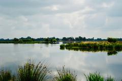 Nature reserve De Alde Feanen south of Earnewâld