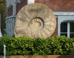 large ammonite replica outside Westphalian School of Music in Münster