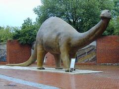 Apatosaurus exhibit at the LWL Museum for Natural History in Münster