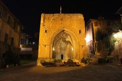 Fonte d'Ovile in Siena illuminated at night