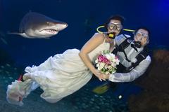 underwater wedding at Palma Aquarium