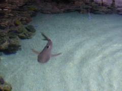 Palma de Mallorca Aquarium interior with marine life