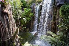 La Jungla at Palma Aquarium