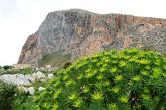 Monte Cofano Nature Reserve in Sicily