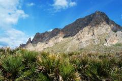 Monte Cofano in Sicily's natural reserve