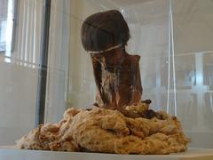 Mummy at Ica Museum, Peru