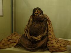 mummy displayed at Ica Museum in Peru