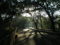 main road in IIT Bombay in the morning