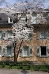 City museum in Baden-Baden