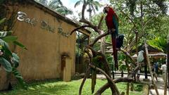 scenic view of Bali Bird Park