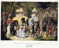 Elephants of the Rajah of Travancore at Trivandrum in August 1841