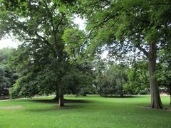 Rothschildpark Frankfurt in 2021 with greenery and pathways