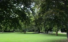 Rothschildpark Frankfurt view