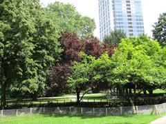 Rothschildpark with Park Tower in the background