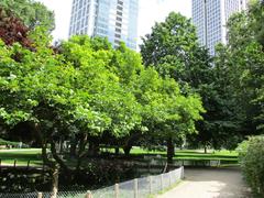 Rothschildpark with Park Tower and Opernturm in the background