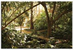 walkway with lush green plants and arched trellis in botanical garden