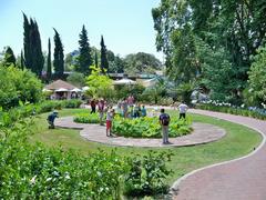 Lotus ponds in La Concepción Botanical Garden, Málaga, Spain