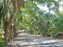 Avenida de las Palmeras in Jardín Botánico-Histórico La Concepción, Málaga, Spain