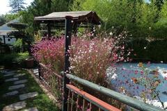 Japanese garden in Molino de Inca Botanical Garden in Torremolinos, Andalusia