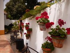 Beautiful view of Jardin Botánico Molino de Inca