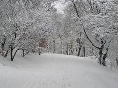 Entrance to St. Augustine's Church under snow