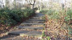 One Tree Hill park in Honor Oak, London