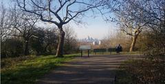 One Tree Hill in March with clear skies and lush greenery