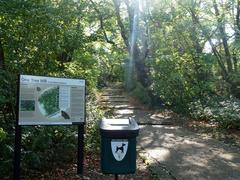 Path through One Tree Hill with trees on either side