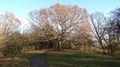 One Tree Hill in Honor Oak, Southwark, London